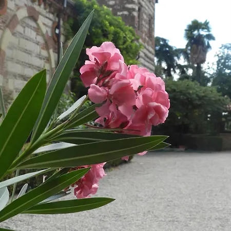 Castello Di 3*