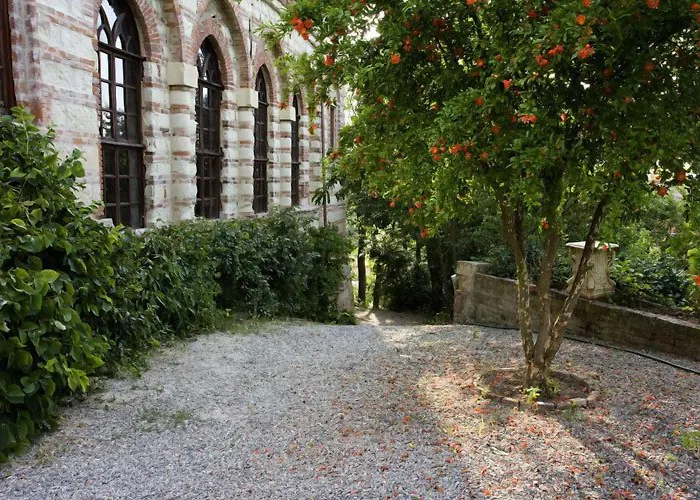 Castello Di Frassinello